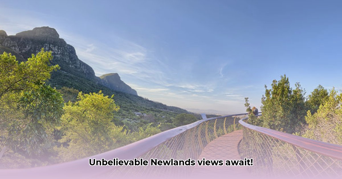 newlands-hiking-trail